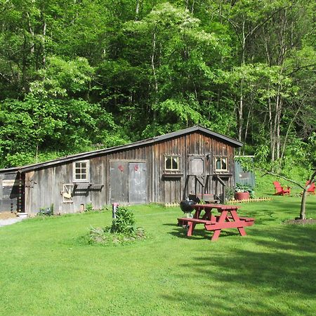 The Renovated Barn At Seneca Rocks别墅 外观 照片