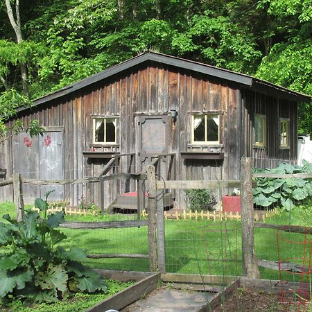The Renovated Barn At Seneca Rocks别墅 外观 照片