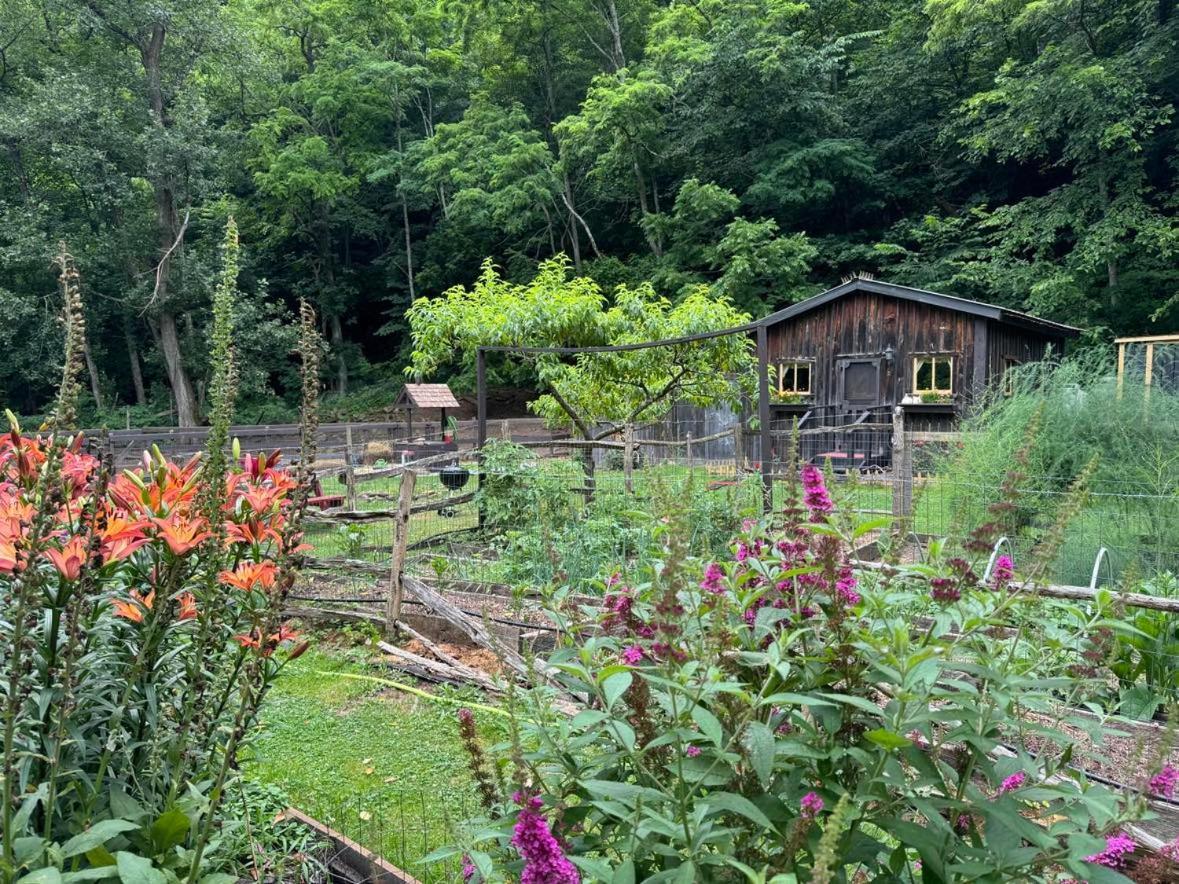 The Renovated Barn At Seneca Rocks别墅 外观 照片