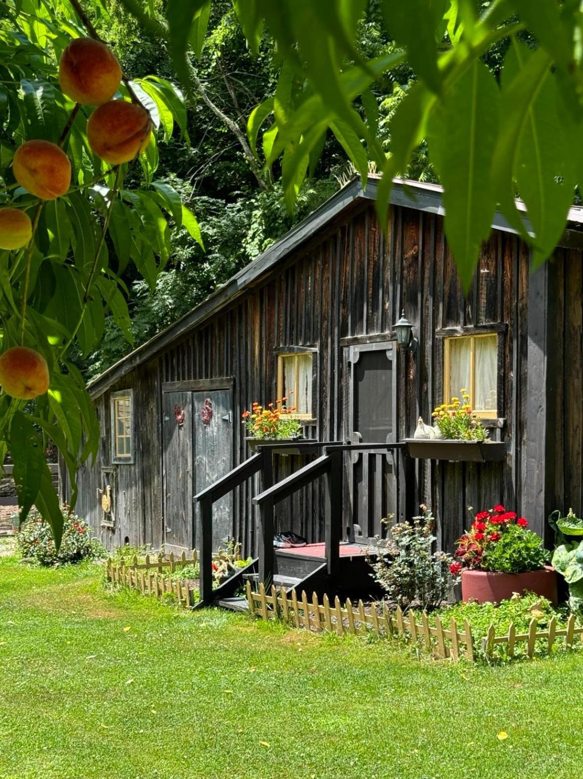 The Renovated Barn At Seneca Rocks别墅 外观 照片