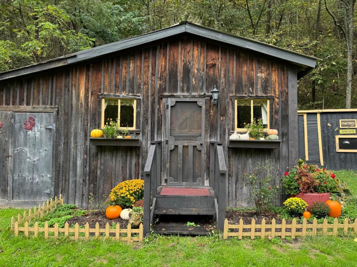 The Renovated Barn At Seneca Rocks别墅 外观 照片
