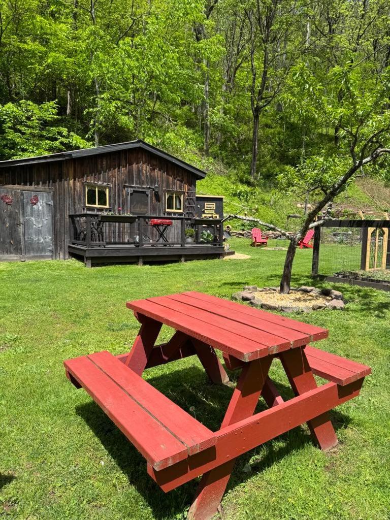 The Renovated Barn At Seneca Rocks别墅 外观 照片